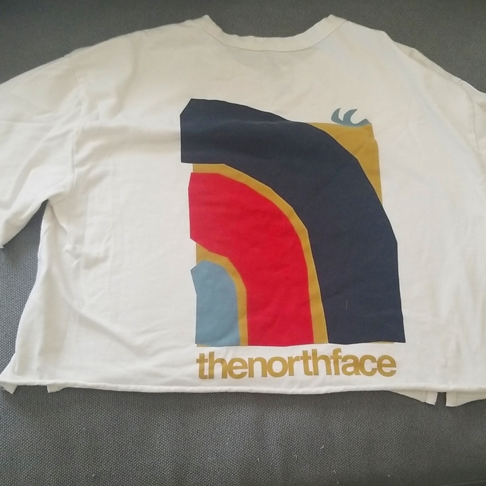 Boxy cropped North Face tee